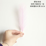 Cross border wholesale feather phoenix tail grass simulation flower manufacturer family decoration wedding hand held flowers