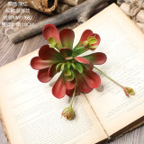 Simulated flower fleshy plant wedding family background flower wall photography green plant cross border Blue Lotus