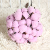 2021Imitation flower manufacturer family decoration wedding holding flower wall plant natural dry cotton