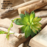 2021Succulent flowers with silent night lotus plant simulation flower manufacturer home decoration wedding plant