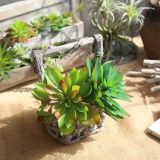 2021Fleshy plant Hibiscus lotus wall simulation flower manufacturer family decoration wedding plant