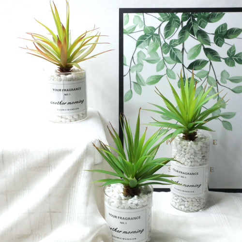 2021Manufacturer wholesale indoor plant wall simulation flower micro landscape fleshy big sword leaf