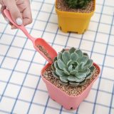 Colorful Square Plastic Plant Pot Planter Sets With Tray Saucer 20pcs Colorful Luminous Stones And 2 Transplanting Tools