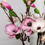 2021The living room is decorated with plants wedding home photography and new imitation magnolias