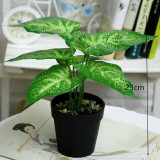 Stylish Wholesale Artificial Plant Plastic Plant Indoor Decoration Pot For Fake  Plants Plastic