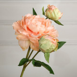 2021Soft decoration flower home living room bedroom desktop decoration simulation Peony