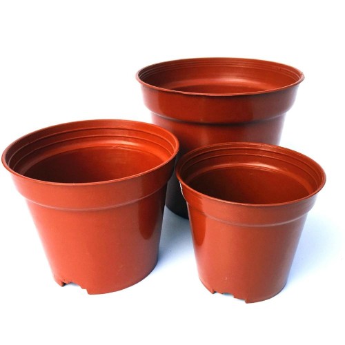 Plastic round pots for growing seedlings