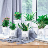 Lazy Automatic Water-absorbing Flower Pot Transparent Plastic Hydroponic Flower Pot Creative Resin Succulent Plant Pot