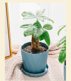 Factory Direct Sale Simple Creative Plastic Flower Pot Round Thick Large Flower Pot Resin Plastic Set Wholesale