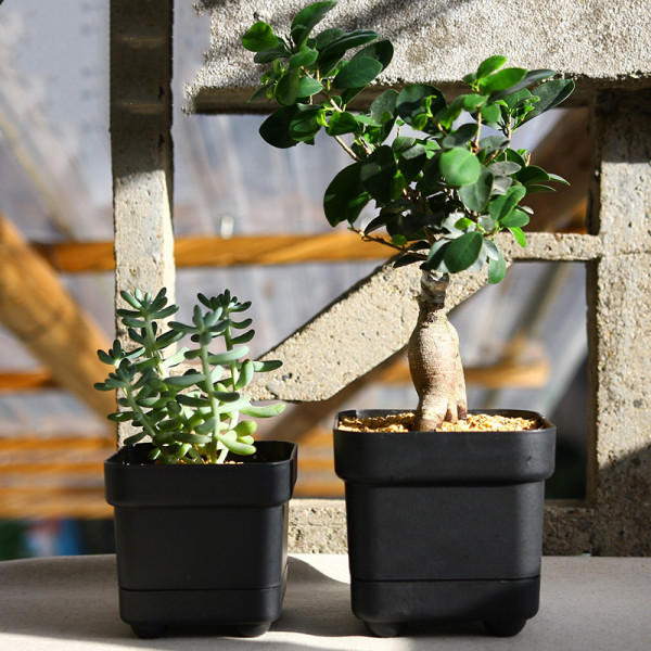 2 Size Square Vientiane Basin.succulent Flowerpot Automatic Water Storage Plastic Basin Plants Pots For Garden Supplies