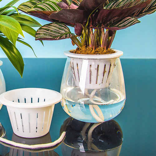 Transparent Plastic Lazy Flower Pot Creative Simple Automatic Water Absorption Flower Pot Succulent Flower Pot