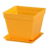 Creative E-friendly Biodegradable Seqaure Colorful Plastic Plant Pots Succulent Flower Pots With Saucer Plant Pots