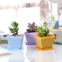 Creative E-friendly Biodegradable Seqaure Colorful Plastic Plant Pots Succulent Flower Pots With Saucer Plant Pots