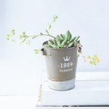 Wholesale Retro Succulents Flowerpots Outdoor Garden Metal Plant Flower Pot Decorations Creative Metal Flower Plant Pot