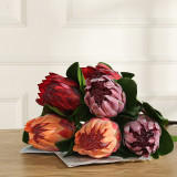 2021Wedding decoration flowers South African tropical plants high grade large imperial flowers