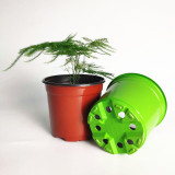 Wholesale Colorful Succulent Flower Pot Plastic Planter Plastic Flower Pots For Decoration