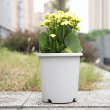 Factory Customized Round Plastic Root Control Flower Pot Breathable Flower Pot Balcony Outdoor Green Plant Flower Pot
