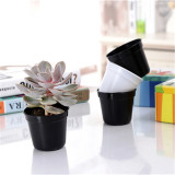 Cheap Price Good Quality 2000Pcs Plastic Plants Nursery Pots Seedlings New Flower Plant Container Seed Starting Pots