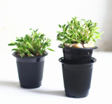 Custom Wholesale Outdoor Plants Pots Garden Decoration Plastic Plantpot For Plants Flower