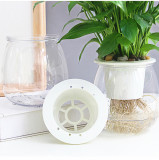 Factory Direct Sales Lazy Flower Pot Full Transparent Creative Plastic Flower Pot Automatic Water Absorption Flower Pot
