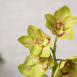 2021Manufacturer direct sales simulation desktop living room home decoration bonsai 7 Cymbidium