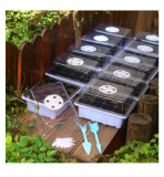 Plastic Plant Propagator Seed Trays Seedling Starter Three Piece Set Green Plant Sowin With Transparent Cover Air Hole