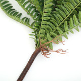 2021Green plant background wall material fern simulation Persian grass bundle