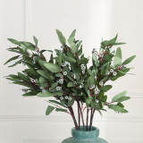2021Living room indoor furnishings simulation with fruit Eucalyptus branches and leaves