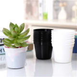 Cheap Price Good Quality 2000Pcs Plastic Plants Nursery Pots Seedlings New Flower Plant Container Seed Starting Pots