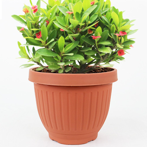 Thicken Flower Pots Round Planters Flower Trays Plastic Pots Creative Round  Pot For  Plants
