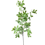2021Citrus leaf home decoration flower arrangement with materials photography props simulation Sophora leaf