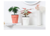 Wholesale Plastic Indoor And Outdoor Flowerpots Office Tables Succulent Hydroponics Potted Plants