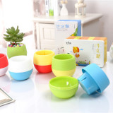 Creative Colorful Cartoon Plastic Flowerpot Succulent Plant Pot Round Mini Lazy Flower Pot