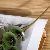 Manufacturer wholesale ah green plant home green decoration placement simulation flower money leaf