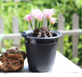 wholesale Root Control Black  Watering Resin Flowerpot Creative  Personality Plastic planter flowerpot