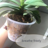 Orchid Pots Holes Indoor Clear Gardening Plastic Plant Pot for indoor plants