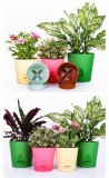 Wholesale Decorative Indoor Resin Plant Pots Colorful Garden Succulent Planter Flower Pot Resin Balcony Resin Flower Pot