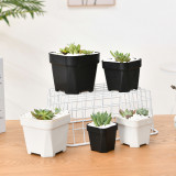 Mini Square Plastic Plant Flower Pot Home Office Decor Planter Colorful With Pots Trays Green Plant Artificial