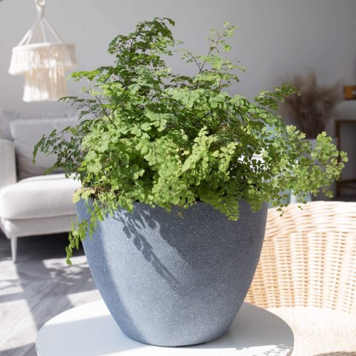Manufacturers supply imitation cement simple Nordic retro frosted smooth plastic imitation porcelain succulent flower pots