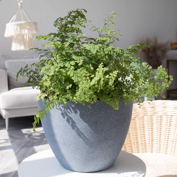 Manufacturers supply imitation cement simple Nordic retro frosted smooth plastic imitation porcelain succulent flower pots