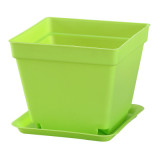 Creative E-friendly Biodegradable Seqaure Colorful Plastic Plant Pots Succulent Flower Pots With Saucer Plant Pots