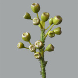 2021Coral Fruit Berry Nordic home decoration simulation single branch water Weng fruit
