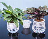 Transparent Plastic Lazy Flower Pot Creative Simple Automatic Water Absorption Flower Pot Succulent Flower Pot