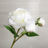 2021Soft decoration flower home living room bedroom desktop decoration simulation Peony