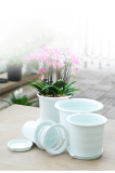 Root-controlled Imitation Porcelain Large Resin FlowerPots Succulents Wholesale Planters Plastic Flower Pots With Tray