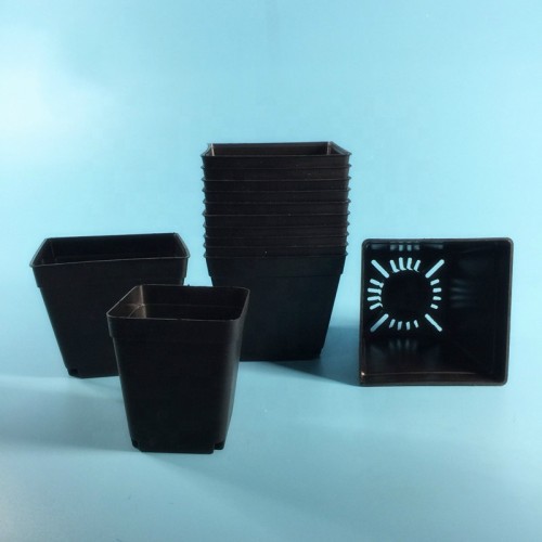 Square Nutritional Black Plastic Nursery Pots Seedlings Plants Pots Garden For Plant Flower Seeds
