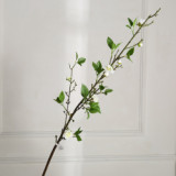 The living room dining table is decorated with flower arrangement and bonsai. New Chinese Spring Begonia flowers