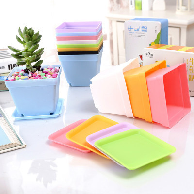 Creative E-friendly Biodegradable Seqaure Colorful Plastic Plant Pots Succulent Flower Pots With Saucer Plant Pots