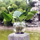 Transparent Plastic Flower Pots Hydroponic Plants Hydroponic Aquarium Living Room Home Gardening Home Decor Flower Pots