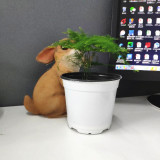 Wholesale Colorful Succulent Flower Pot Plastic Planter Plastic Flower Pots For Decoration